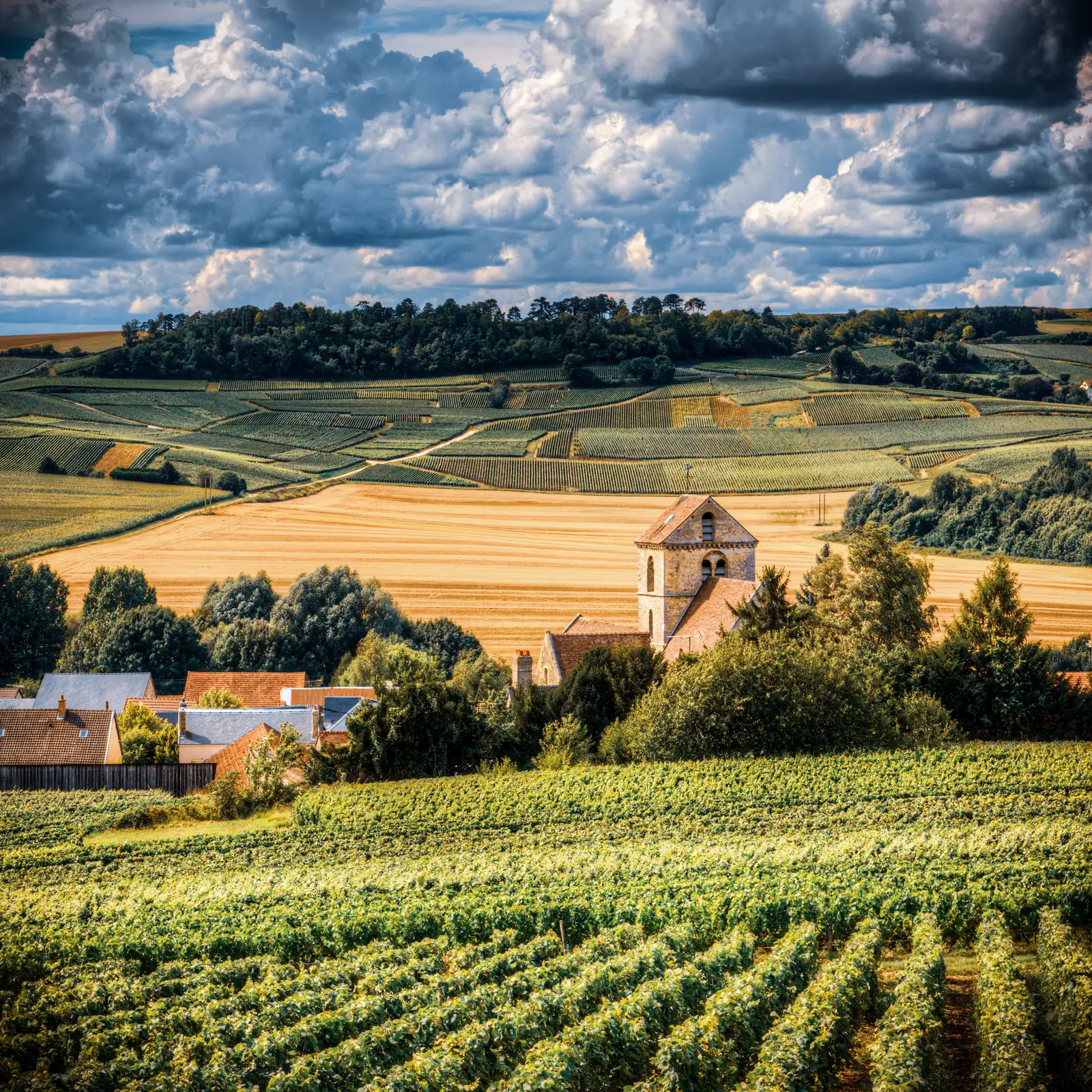 winestock-sweden-ab